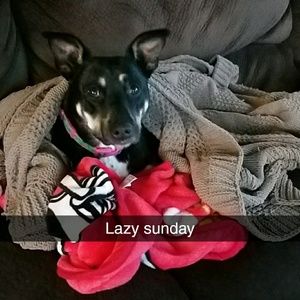 Meet your Posher, Gabe